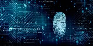 digital forensics