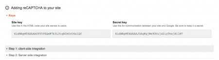 Google reCAPTCHA keys